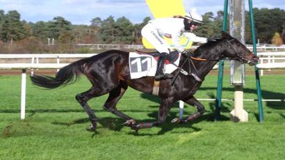 Prix De La Route Des Deux Soeurs