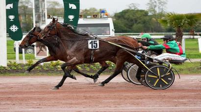 Grand Prix Des Amateurs