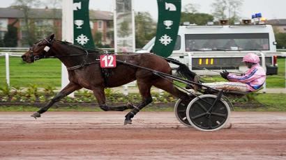 Prix Louis Angelerque