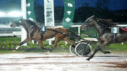 Prix Henry Cistac