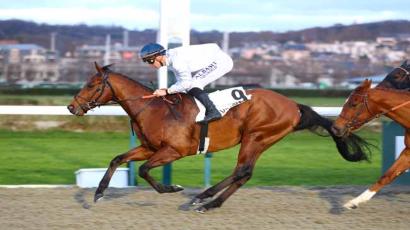 Prix Du Chemin De Fer