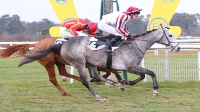 Prix Du Champagne Robert Grumier