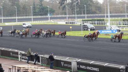 Prix Du Cantal