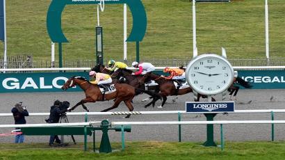 Prix De L'Allee Quinconce