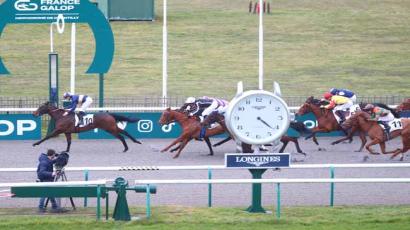 Prix Du Bois De Beauvilliers