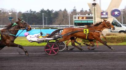 Prix De Saint-Pierre La Cour