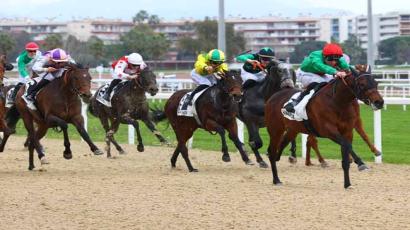 Prix Du Maroc (prix Des Criquets)